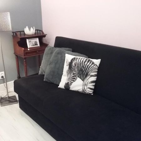 Vintage - Rose Apartament Stary Toruń Eksteriør billede