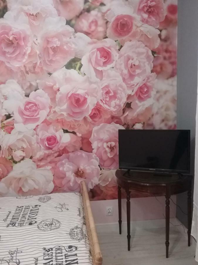 Vintage - Rose Apartament Stary Toruń Eksteriør billede