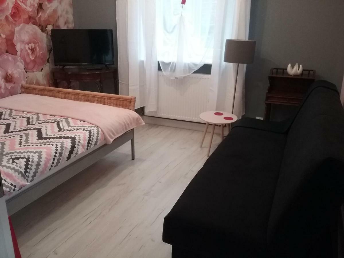 Vintage - Rose Apartament Stary Toruń Eksteriør billede